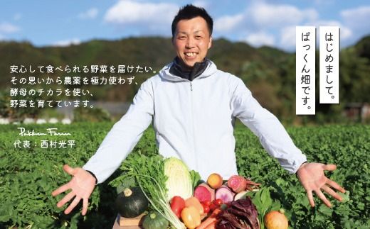 【 早期受付 4回定期便 】 とれたて 新鮮 ぱっくん畑のおくりもの 農家直送 秋・冬 野菜セット 約5種類 国産 野菜 やさい 予約 高知県 高知 しまんと 四万十市 限定 お取り寄せ 【2026年11月～2027年2月まで毎月1回配送】26-055