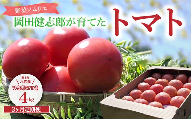 【先行予約】 【定期便3回】 野菜ソムリエ 岡田健志郎が育てた トマト 4kg トマト とまと 新鮮 サラダ 野菜 やさい 特産品 熊本県 八代市 【2026年12月上旬より順次発送】
