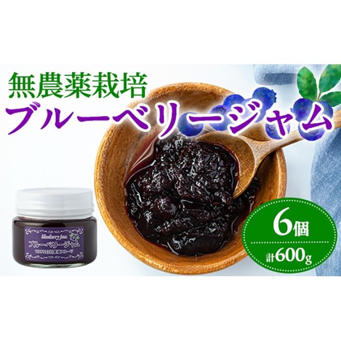 【12161】贅沢な国産ブルーベリージャム(100g×6個・計600g)ジャム 瓶 果物 果実 フルーツ パン【村山製油】