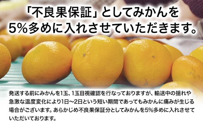 ご家庭用 熊本 大粒みかん 約5kg (3L～5Lサイズ)大玉 みかん 先行予約 熊本 ちょっと 訳あり 傷 たっぷり 熊本県産 熊本県 期間限定 フルーツ 旬 柑橘 長洲町 大粒みかん《2025年1月中旬-2月末頃より出荷予定》---fn_notbmkn_bc1_25_8000_5kg---