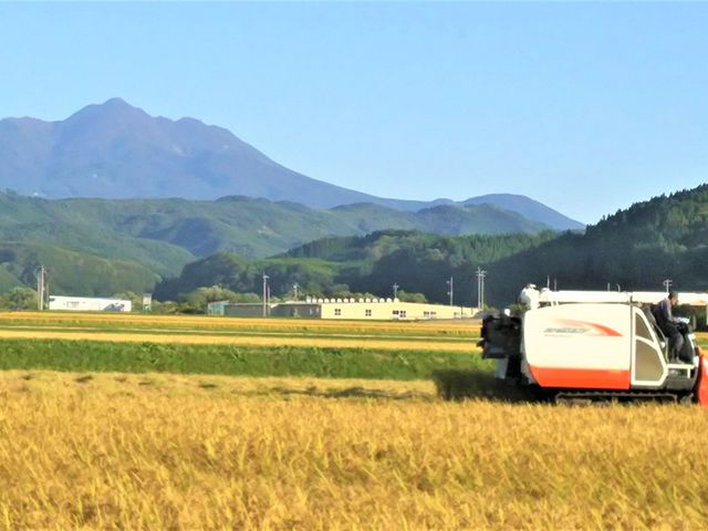無洗米 令和8年産 まっしぐら 10kg (5kg×2袋) 米 白米 こめ お米 おこめ コメ ご飯 ごはん 令和8年 山下農園 青森 青森県 鯵ヶ沢町