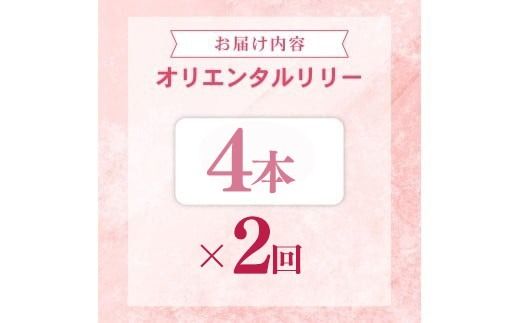 定期便2回 ユリ オリエンタルリリー 4本 花 切り花 プレゼント 贈り物 ギフト 誕生日 記念日 つぼみ 大輪 ピンク 白 香り 優雅 華麗 ブーケ フラワーアレンジメント 観賞用 インテリア 季節の花 高級感 花束 生花 福田園芸 オリエンタルハイブリッド 安芸市 高知県