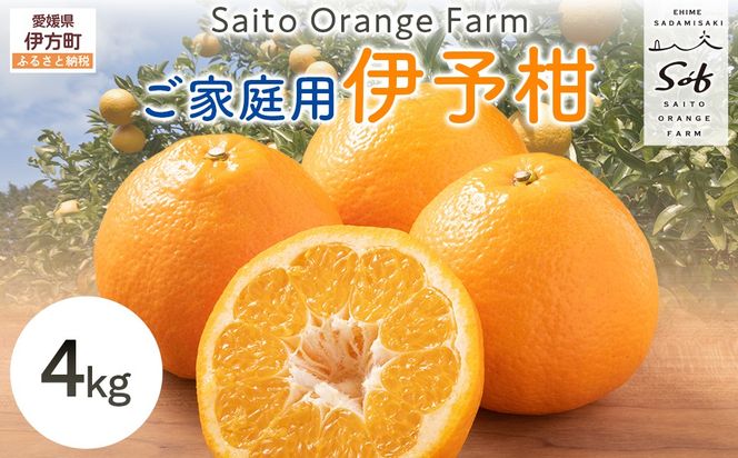 【先行予約】Saito Orange Farm ご家庭用 伊予柑4kg （2027年1月中旬頃より順次発送予定）IKTAQ027