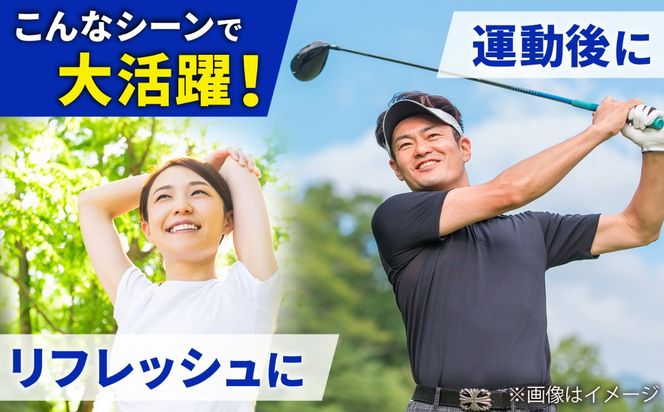 【全12回定期便】強炭酸水 プレーン 500ml × 24本 糸島市 / スターナイン 炭酸水 国産 [ARM011] 炭酸水 500ml 24本 送料無料 プレーン 国産 炭酸 常温