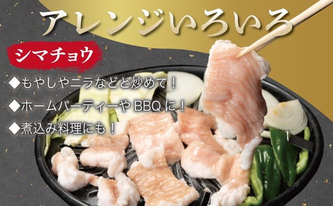 G3400 牛カルビ＆シマチョウ 塩麹漬け 焼肉セット 合計3kg【味付け 小分け 焼くだけ 簡単調理 BBQ 250g×12袋 牛肉 ホルモン】