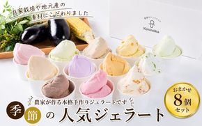  ジェラート セット 8個 1月発送 16000円 / キミノ―カ アイス クリーム スイーツ 野菜 果物【kmk105-jan-8】