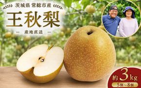 【先行予約】小林果樹園の梨 王秋 5～8玉 約3kg｜おうしゅう 朝どり みずみずしい 梨 なし ナシ フルーツ 果物 常総市　※2026年9月～発送