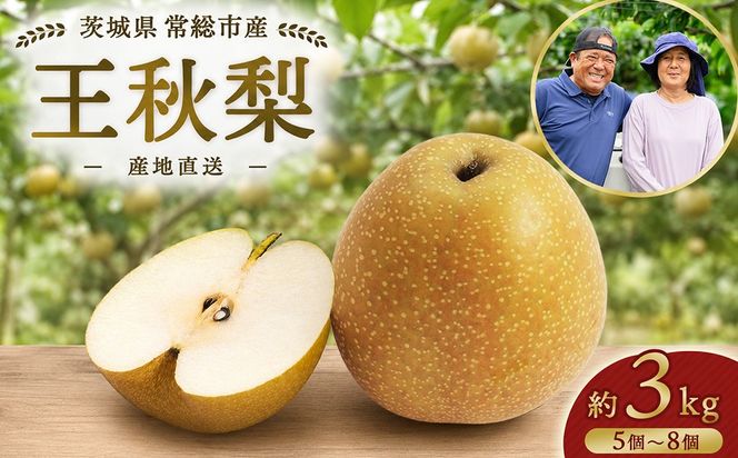 【先行予約】小林果樹園の梨 王秋 5～8玉 約3kg｜おうしゅう 朝どり みずみずしい 梨 なし ナシ フルーツ 果物 常総市　※2026年9月～発送