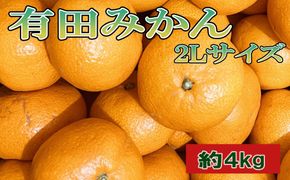[秀品]和歌山有田みかん約4kg(2Lサイズ) ★2026年11月中旬頃より順次発送［TM199］ 303446_XH92124