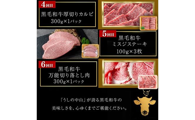 【定期便全6回】＜A4・A5等級＞黒毛和牛堪能〈満足〉定期便（2～3人分）総重量1.95kg t0069-001