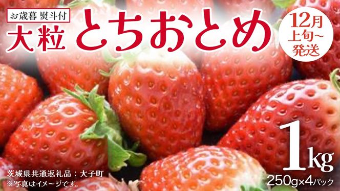 y錧vszy Ε lt z ƂƂ 250gi8`12j×4pbNy2025N12{Jnz(錧ʕԗiFq)   ʕ t[c ʎ p Mtg 蕨