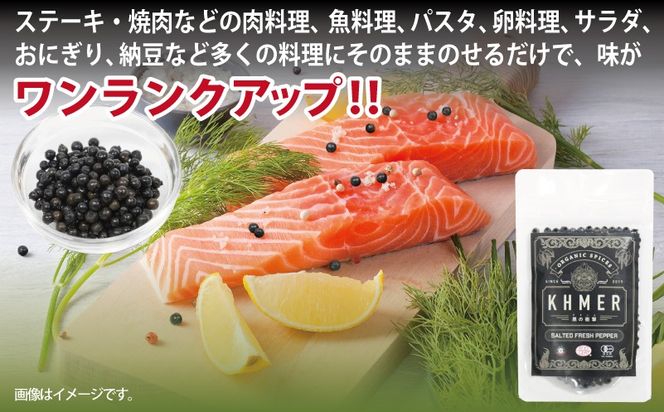 005A744 生胡椒 塩漬け 50g×1P【コショウ こしょう カンポットペッパー スパイス カンボジア】