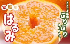 【先行予約】家庭用 はるみ 1kg+250g（傷み補償分) / みかん ミカン 有田みかん 柑橘 フルーツ 果物 和歌山 オレンジ ※2027年2月上旬〜3月下旬頃に順次発送予定 ※北海道・沖縄・離島への配送不可 【ikd013-c-1B】
