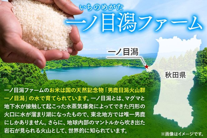 「秋田県男鹿市北浦産」あきたこまち（玄米）10kg  （5kg×2） 令和8年産 （新米先行受付） 秋田県 男鹿市 [あきたこまち ブランド米 お米 玄米 米どころ 秋田 秋田県産 男鹿市北浦産]|23_imf-011001s