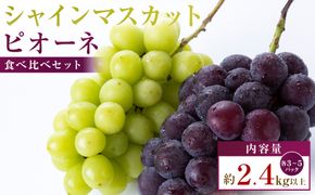 シャインマスカット+ピオーネ　パック食べ比べセット　約2.4kg以上(各3～5パック) 372013_T006-802J