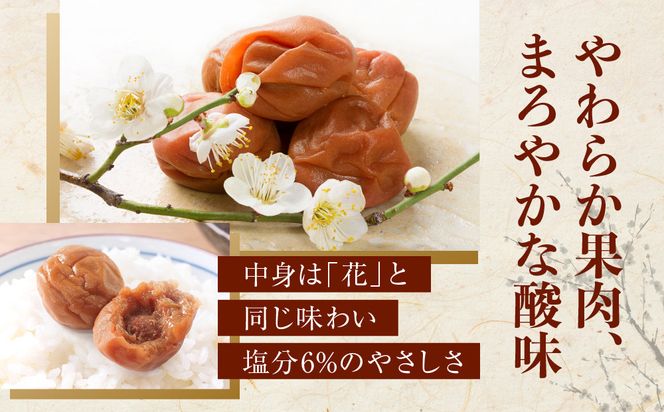 【定期便・2ヵ月毎 全5回】ご家庭用 紀州南高梅 うす塩 つぶれ 550g×2 ［YM15］ 303446_DX90031