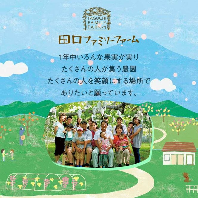 【田口ファミリーファーム】いちご(さがほのか) 40粒入り×2箱(1月中旬発送開始) N053-YB337