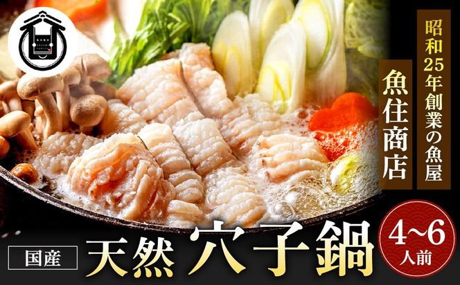 【鐘崎産天然穴子】国産天然穴子鍋セット(4〜6人前) 【魚住商店】_HA1994 海鮮鍋 穴子鍋 鐘崎産 あなご鍋 贅沢鍋セット お取り寄せ 福岡県宗像市 宗像市 福岡 宗像