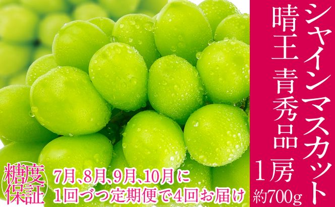 2026年予約受付中 シャインマスカット 晴王 7月8月9月10月に1回づつ出荷  4回 定期便 1房 約700g  人気 岡山県産 種無し 皮ごと食べる みずみずしい  フレッシュ 晴れの国 おかやま 果物大国 ハレノフルーツ