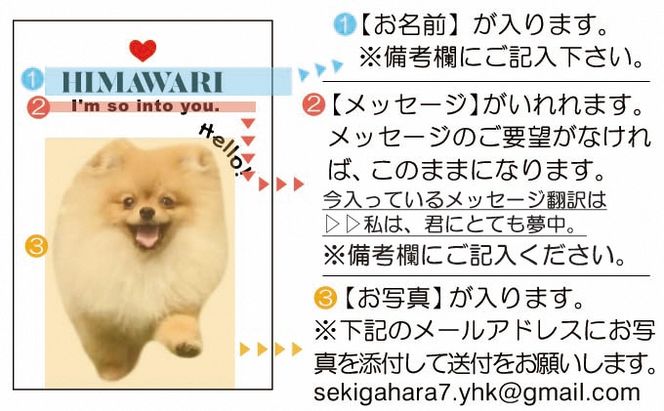 ペットの可愛いお写真をキーホルダーに♪うちの子アクリルキーホルダー（デザインA）
