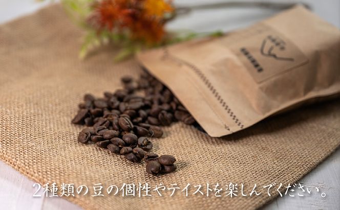 自家焙煎珈琲豆 2種レギュラーコーヒー飲み比べ（各100g×3袋）計600g 飲み物 飲料 良品な生豆 店内焙煎 新鮮 豊かな香り 2種類 個性 テイスト お楽しみ