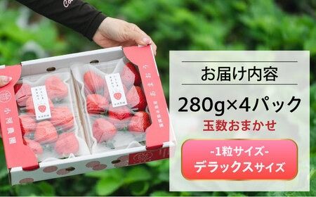 糸島産 完熟あまおう 280g×4パック (デラックスサイズ)】 糸島市 / 小河農園 いちご フルーツ 果物 [AJN002] 朝採れ 新鮮 完熟 あまおう 農家直送 糸島産 産直 いちご イチゴ 果物