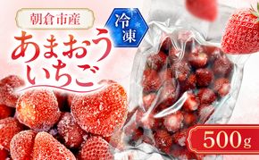いちご 朝倉市産 冷凍あまおう 500g イチゴ 苺 果物 デザート ＜しばやま農園＞ ※配送不可：離島