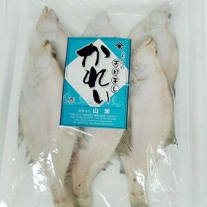 【ふるさと納税】山陰名産エテカレイ一夜干し 6枚 エテカレイ カレイ 鰈 干物 一夜干し 干し物 魚介 海鮮 山陰 国産 冷凍 お取り寄せ【配送不可地域：離島】【1109959】 兵庫県 新温泉町 送料無料