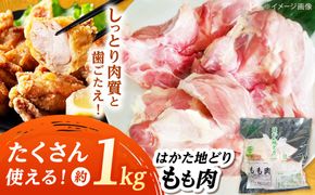 はかた地どり もも肉(約1kg)《築上町》【吉浦コーポレーション】 はかた地どり もも肉 鶏肉 地鶏 国産[ABFF002]