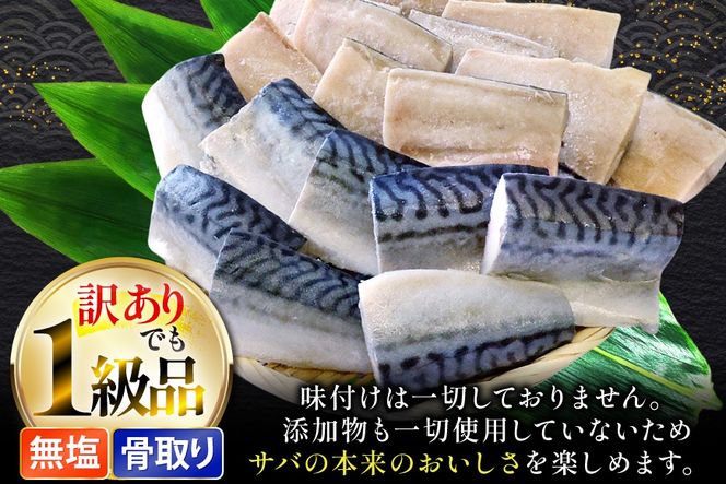 訳あり 骨取り トロ さば 切身 無添加 計3kg (500g×6p) 小分け 無塩[足利本店 宮城県 気仙沼市 20565813] さば 訳アリ 骨取 サバ 鯖 わけあり 鯖 トロサバ トロさば トロサバ