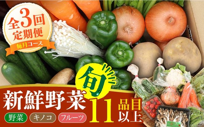 【毎月コース】野菜 キノコ 果物 11品目 詰め合わせ 3回定期便 / 野菜定期便 やさい定期便 きのこ セット 定期便 / 南島原市 / 吉岡青果[SCZ022]