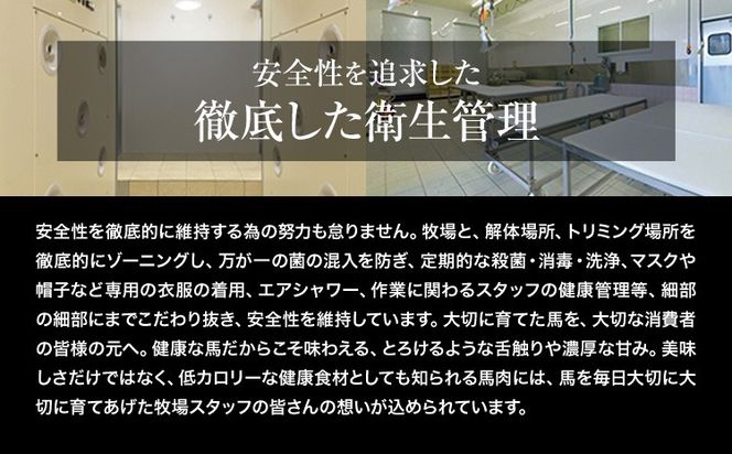 【12ヶ月定期便】赤身馬刺し 300g【純国産熊本肥育】 生食用 冷凍《お申込み月の翌月から出荷開始》送料無料 熊本県 大津町 馬刺し 赤身馬刺し 赤身---oz_fjs100x3tei_24_120000_mo12---