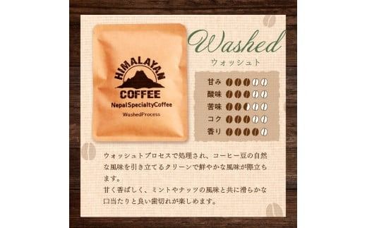 自家焙煎ネパール産スペシャルティコーヒーWashedドリップバッグ 15個 ( 珈琲 自家製 ドリップ 焙煎 )【166-0009】