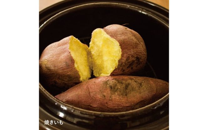 伊賀焼 くんせい土鍋 いぶしぎん（ミニ） ngtn0008