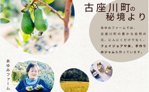 令和８年度産 秘境の地からお届けする あゆみファームのご家庭用新ジャンボ生にんにく 3kg【6月中旬～７月上旬から順次発送】/ にんにく ニンニク ジャンボにんにく 予約受付 ガーリック 和歌山【aym020】