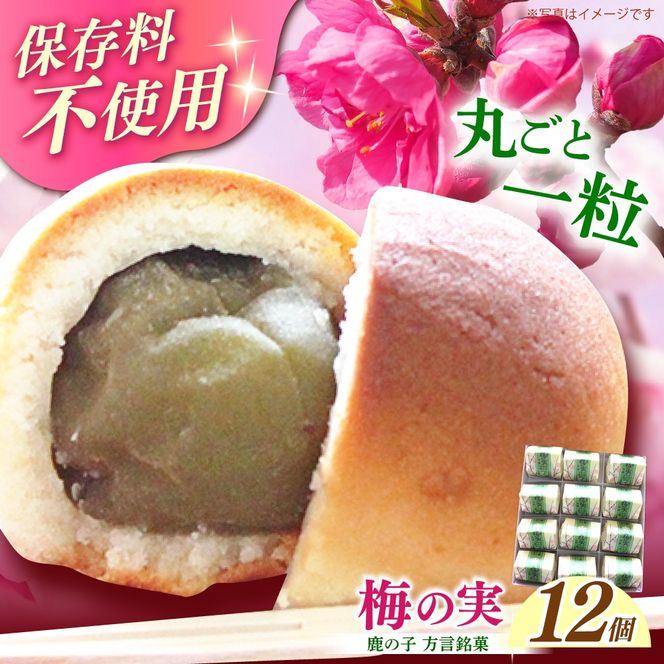 【老舗の菓子屋】築上銘菓「 梅の実 」12 個《築上町》【有限会社 御菓子司 鹿の子】[ABAC019]
