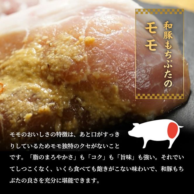 和豚 もちぶた モモ 味噌漬け 120g×5枚 豚肉