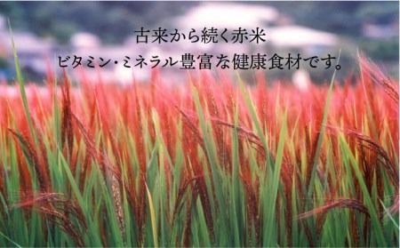 全10回 定期便 （月1回） 赤米 ・ 黒米 ・ 雑穀米 健康 ごはんの お米セット 二丈赤米産直センター [ABB019]