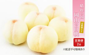 桃 定期便 2027年 先行予約 晴れの国 岡山 の 白桃 ×2回 お届け 1回目 白桃 6玉（1玉250g以上）／2回目 白桃 6玉（1玉300g以上） 化粧箱入り もも モモ 岡山産 国産 フルーツ 果物 ギフト