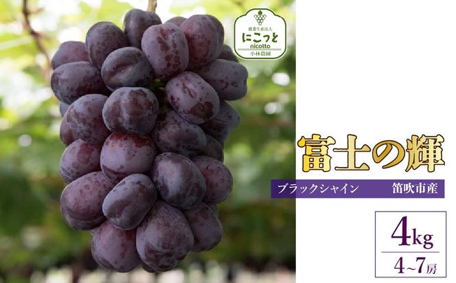 【2026年発送★先行予約】たっぷり4キロ　富士の輝 （4-7房）　 097-015-26y　