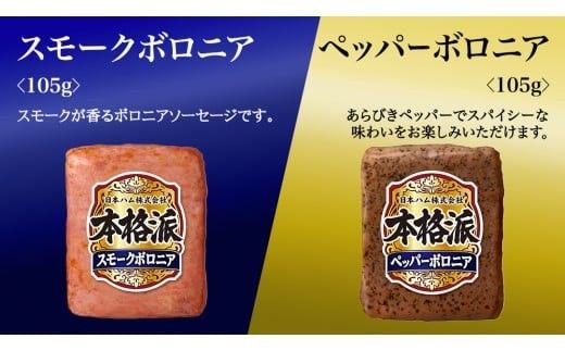 【 熨斗 対応品 】 日本ハム 筑西工場 本格派 ギフトセットA 肉 にく 贈答 ギフト 詰め合わせ ハム ソーセージ ウィンナー 生ハム お中元 お歳暮 [AA079ci]