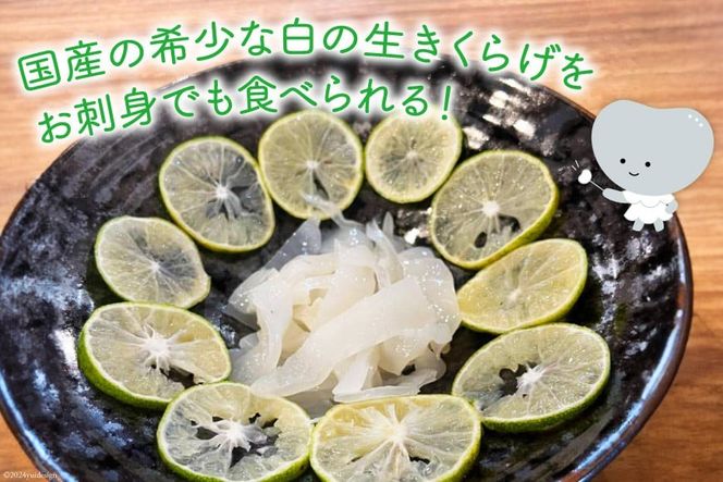 【期間限定発送】きのこ 白 生きくらげ 100g×3袋 [きくらげ堂 日向店 宮崎県 日向市 452060820] キクラゲ 木耳 食物繊維 無添加 きのこ 冷蔵