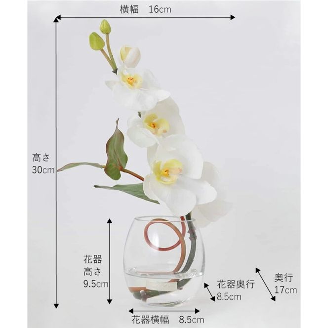 アートフラワー エミリオ・ロバ ファレノプシスS-a TTNTS52100