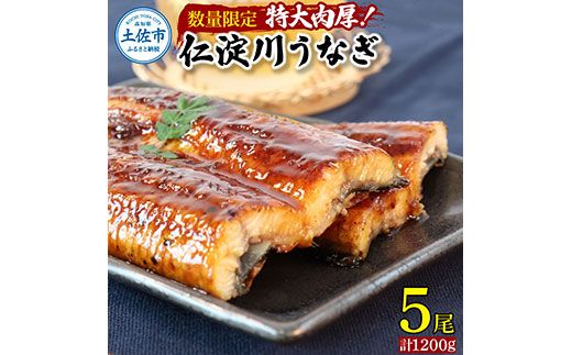 【数量限定！】仁淀川特大肉厚うなぎ5尾セット タレ付き うなぎ 鰻 ウナギ 国産 蒲焼き かば焼き 1尾200g超え 仁淀川 太化うなぎ おいしい 人気 冷凍 真空パック 夏【株式会社山本養鰻】 [BQAL002]