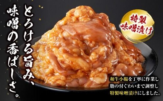 トロホルモン 味噌漬け 600g ( 300g × 2 ) プリプリ 小分け 使いやすい 味付き 調理便利 野菜炒め ホルモン炒め 訳あり 不揃い 和牛 小腸 冷凍 配送時期が選べる 個包装 冷凍保存 アウトドア キャンプ おすすめ 人気