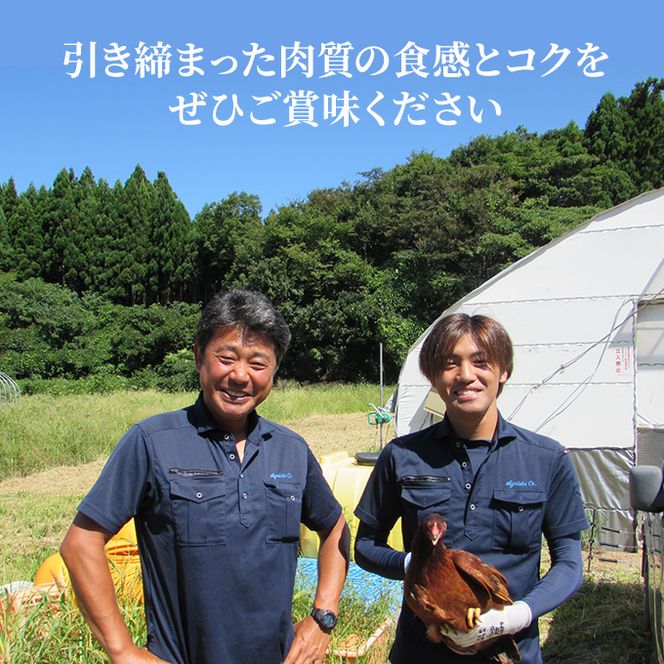 秋田県産比内地鶏肉 焼き鳥の定期便（30本×5ヵ月）（焼鳥 5ヶ月 もも肉 むね肉） やきとり 