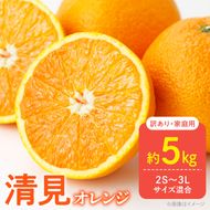 【2027年先行予約】家庭用 訳あり きよみ 清見オレンジ 和歌山 有田 2S～3Lサイズ混合 約5kg_DZ6106