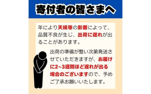 数量限定 訳あり 土佐文旦 9kg 10000円 みかん 文旦 ぶんたん 国産 家庭用 産地直送 農家直送 期間限定 ビタミン 特産品 人気 限定 さわやか 甘い フルーツ 果物 果実 柑橘 蜜柑 糖度 果樹園 おいしい 愛媛 みかん ブランド オレンジ 大小 サイズ ミックス ゼリー ジュース 人気 限定 先行 予約 事前 受付 愛南町 愛媛県 吉田農園