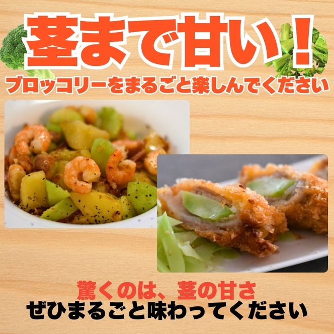 訳あり ブロッコリー 約3kg サイズミックス 朝採れ 当日 発送 新鮮 採れたて 産地直送 農家直送 国産 野菜 シャキシャキ 食感 茎 まで 甘い 栄養満点 ご家庭用 サラダ スープ お弁当 彩り野菜 旬 の 味覚 離乳食 食事管理中 に おすすめ 緑黄色野菜 冷凍 保存 可能 ストック 便利 人気 期間限定 旬 の 味覚 食卓 へ 愛媛県 愛南町 愛なんよ