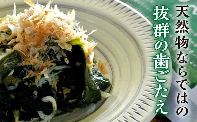 【大容量サイズ】 いとしま 干しわかめ 糸島市 / 山下商店【いとしまごころ】 乾物 乾燥わかめ[ANA037]